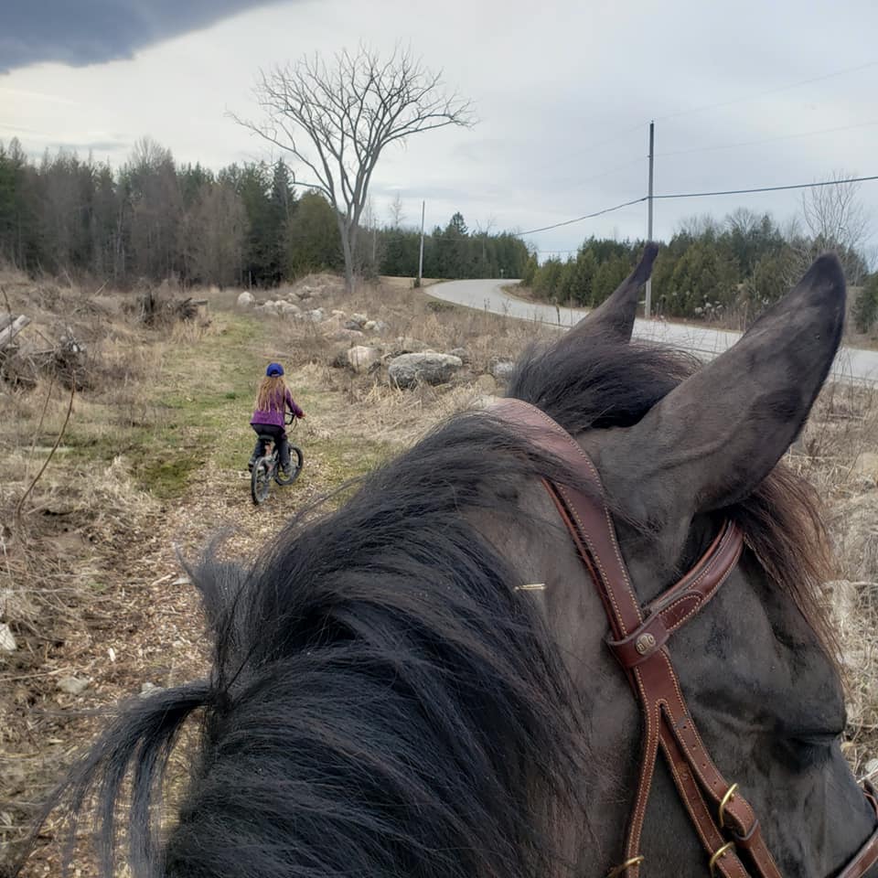 trail